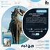 اکانت قانونی Assassin's Creed Odyssey برای PS5 و PS4